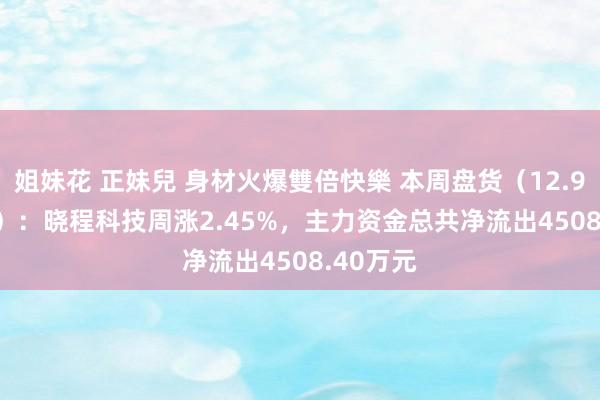 姐妹花 正妹兒 身材火爆雙倍快樂 本周盘货（12.9-12.13）：晓程科技周涨2.45%，主力资金总共净流出4508.40万元