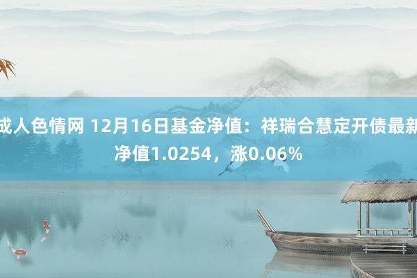 成人色情网 12月16日基金净值：祥瑞合慧定开债最新净值1.0254，涨0.06%