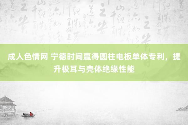 成人色情网 宁德时间赢得圆柱电板单体专利，提升极耳与壳体绝缘性能